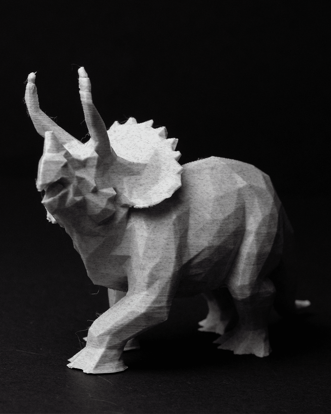 Dinosaurios Low-Poly, foto 6