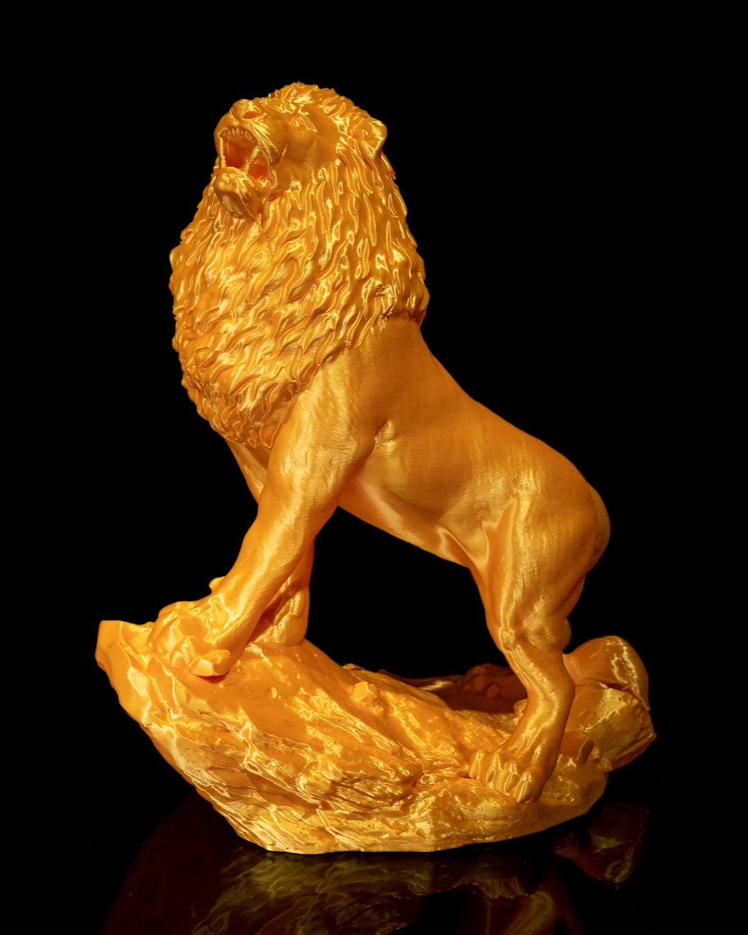 El León Asiático, foto 2