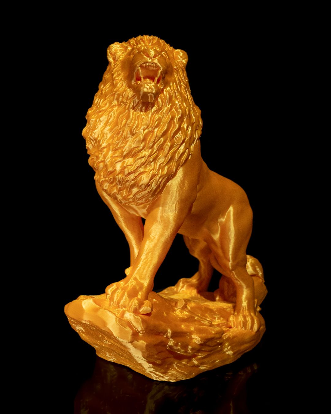 El León Asiático, foto 3