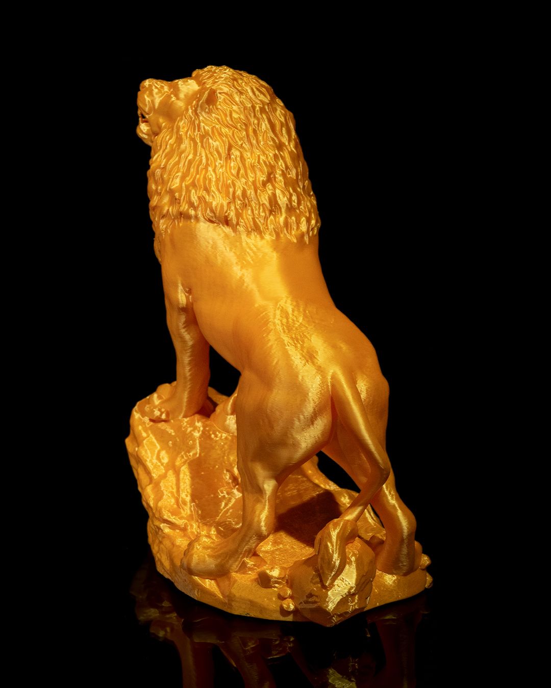 El León Asiático, foto 4