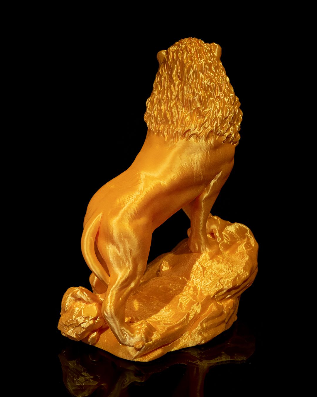 El León Asiático, foto 5