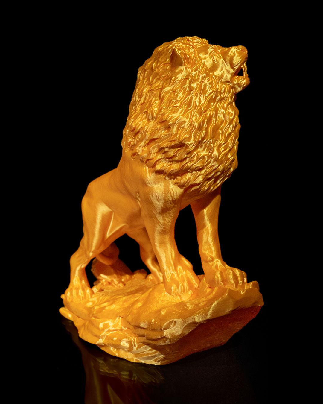El León Asiático, foto 6