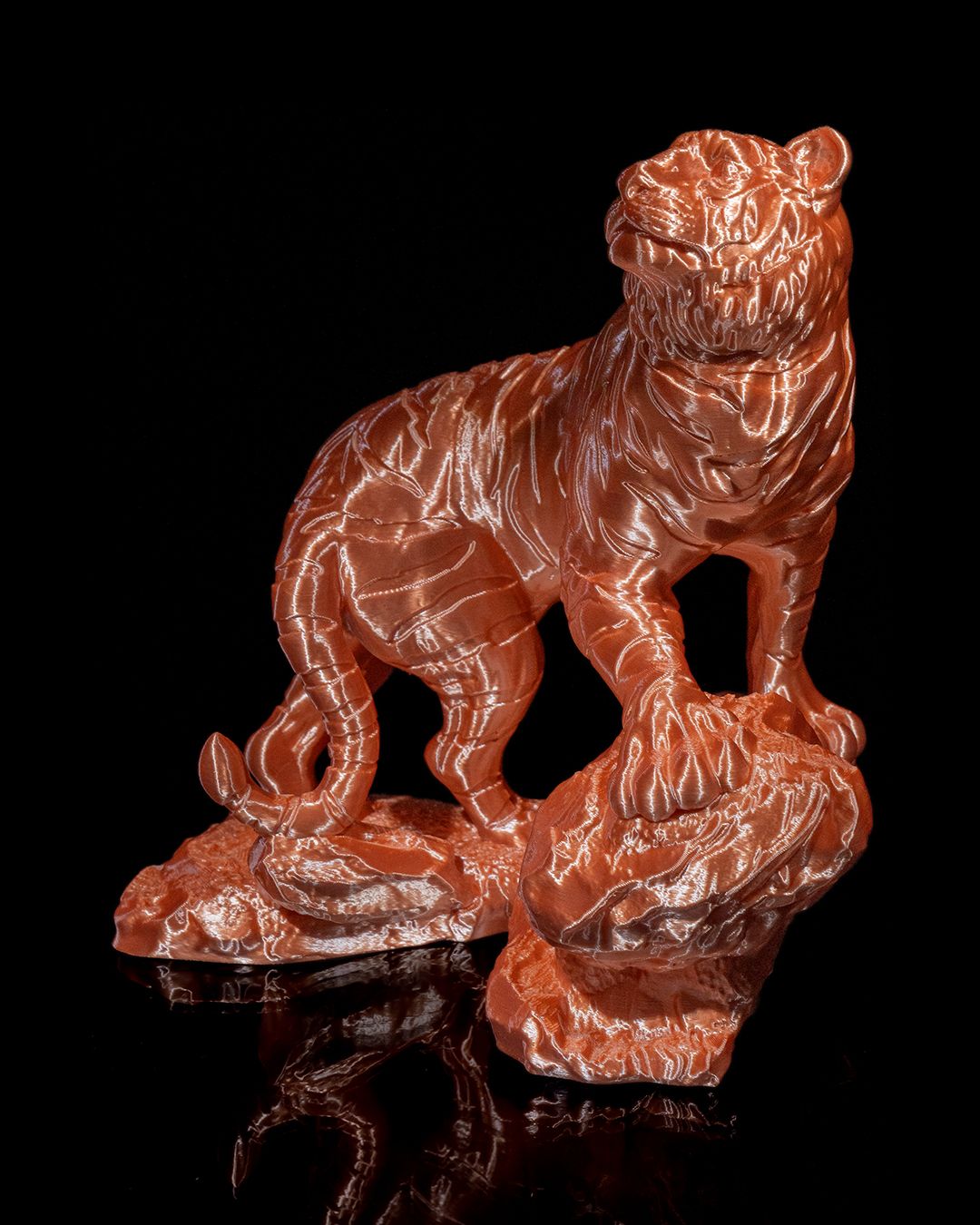 El Tigre de Bengala, foto 2