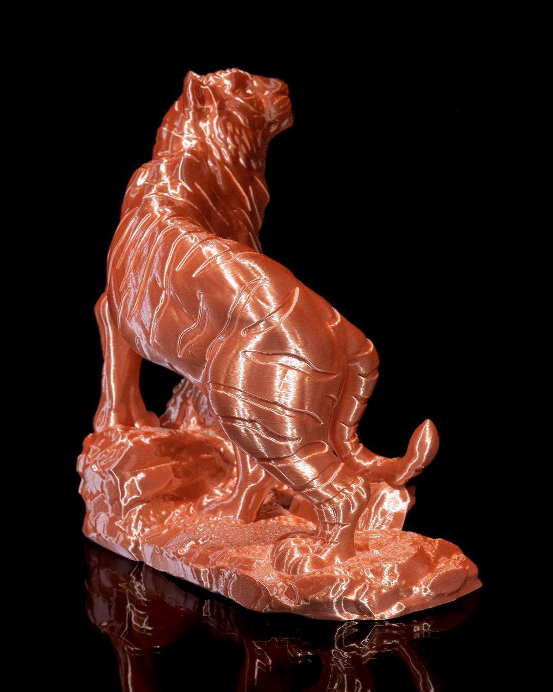 El Tigre de Bengala, foto 5
