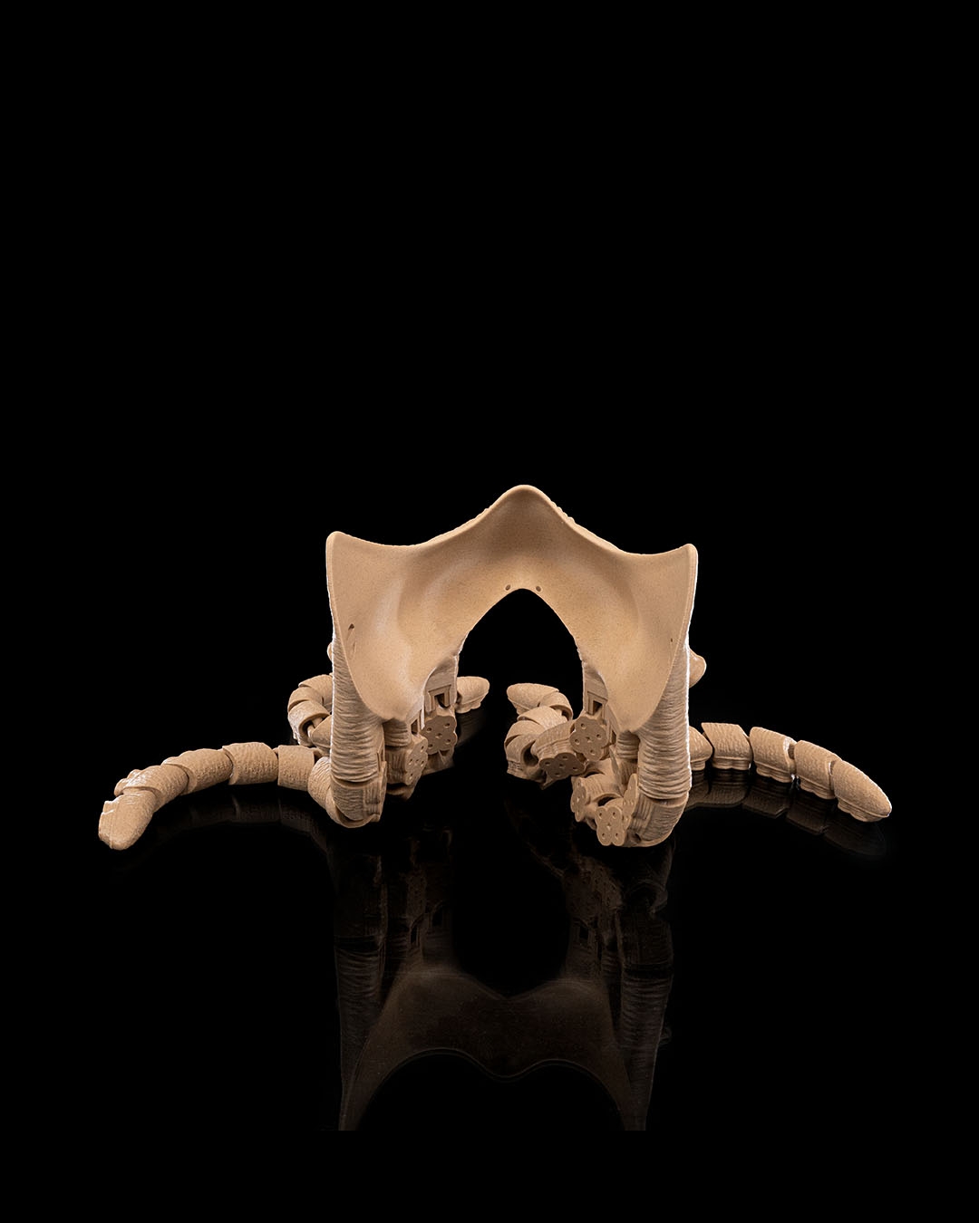 Abyssal Tentacles — Máscara, foto 4