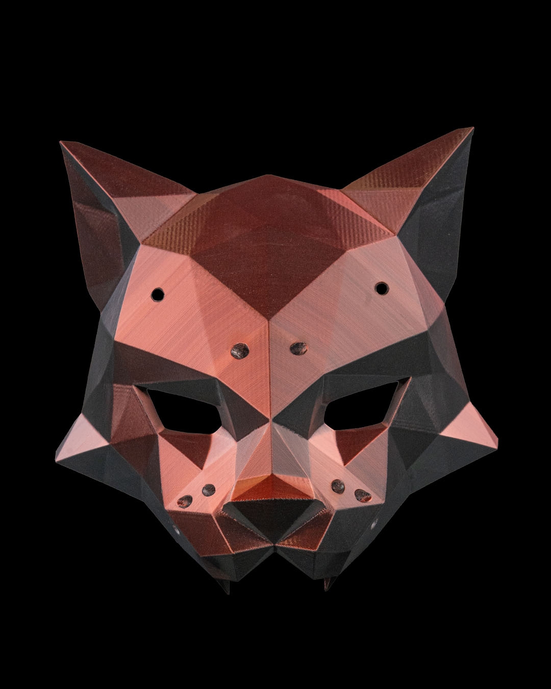 HexaCat, foto 2