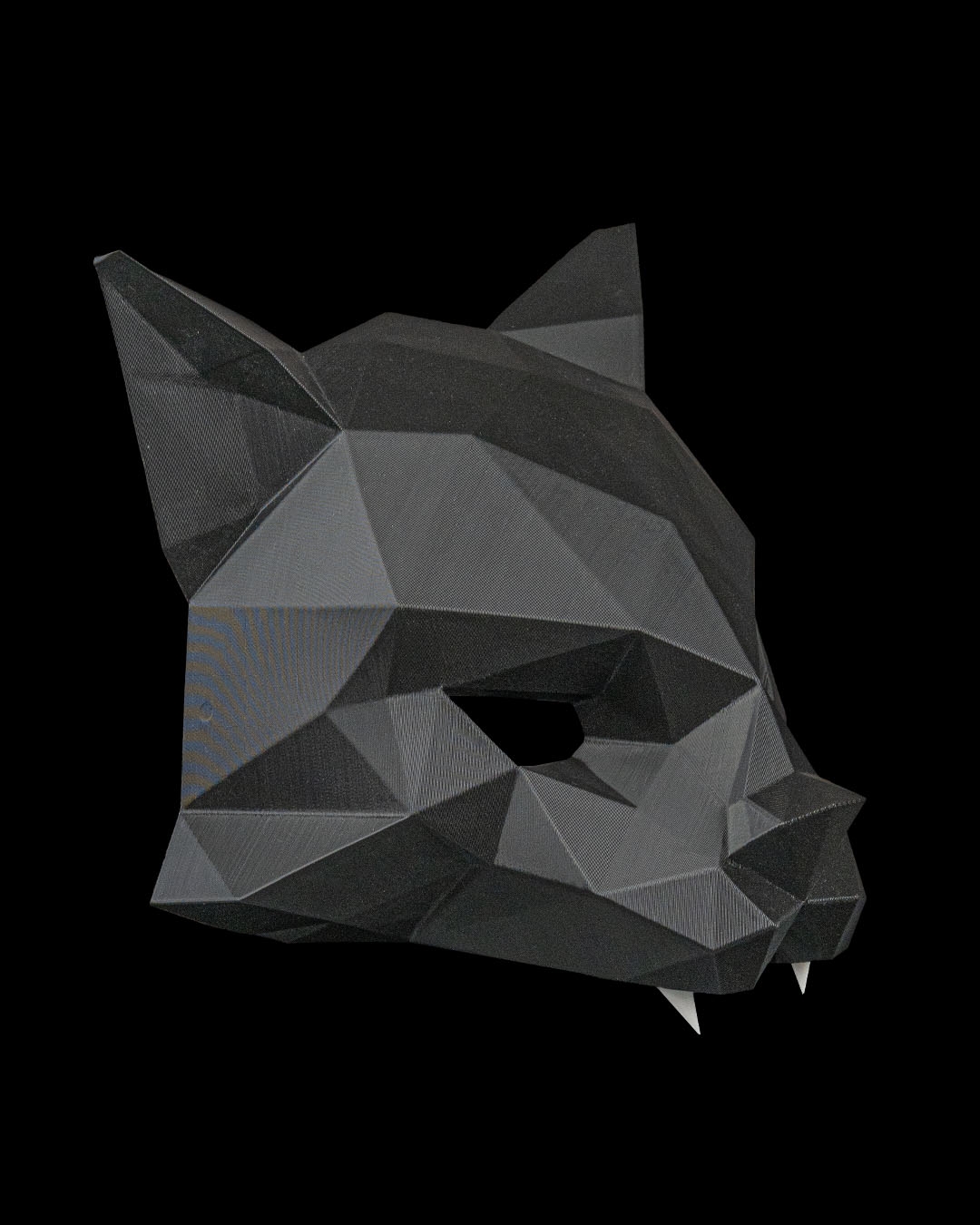HexaCat, foto 4