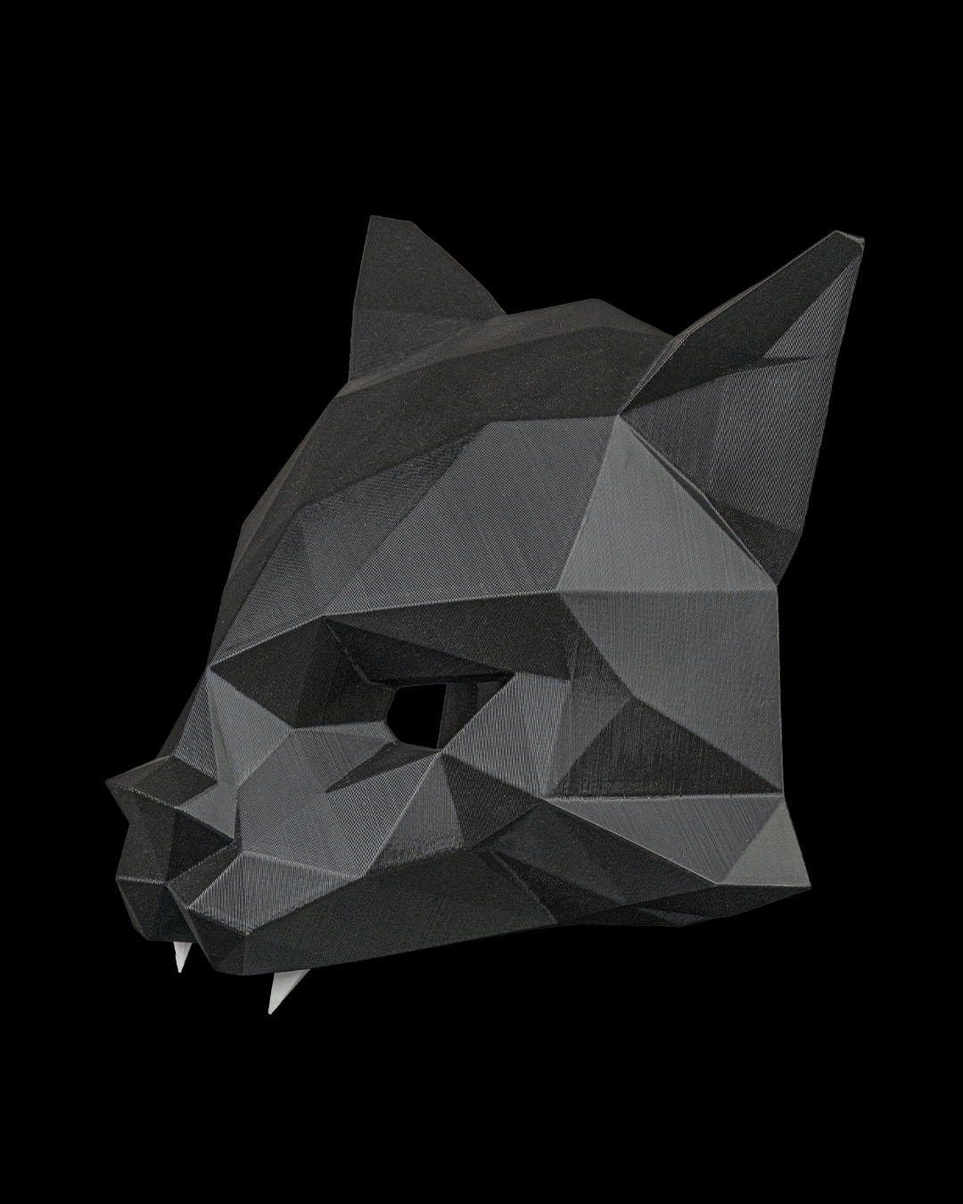 HexaCat, foto 5