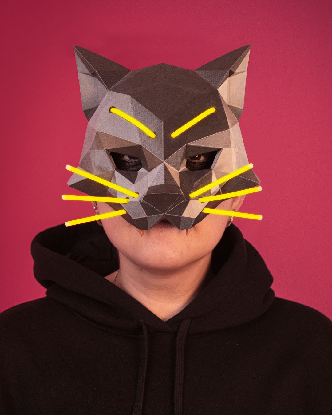 HexaCat, foto 6
