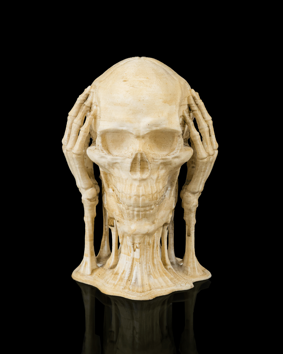 Skulls of Wisdom, foto 2