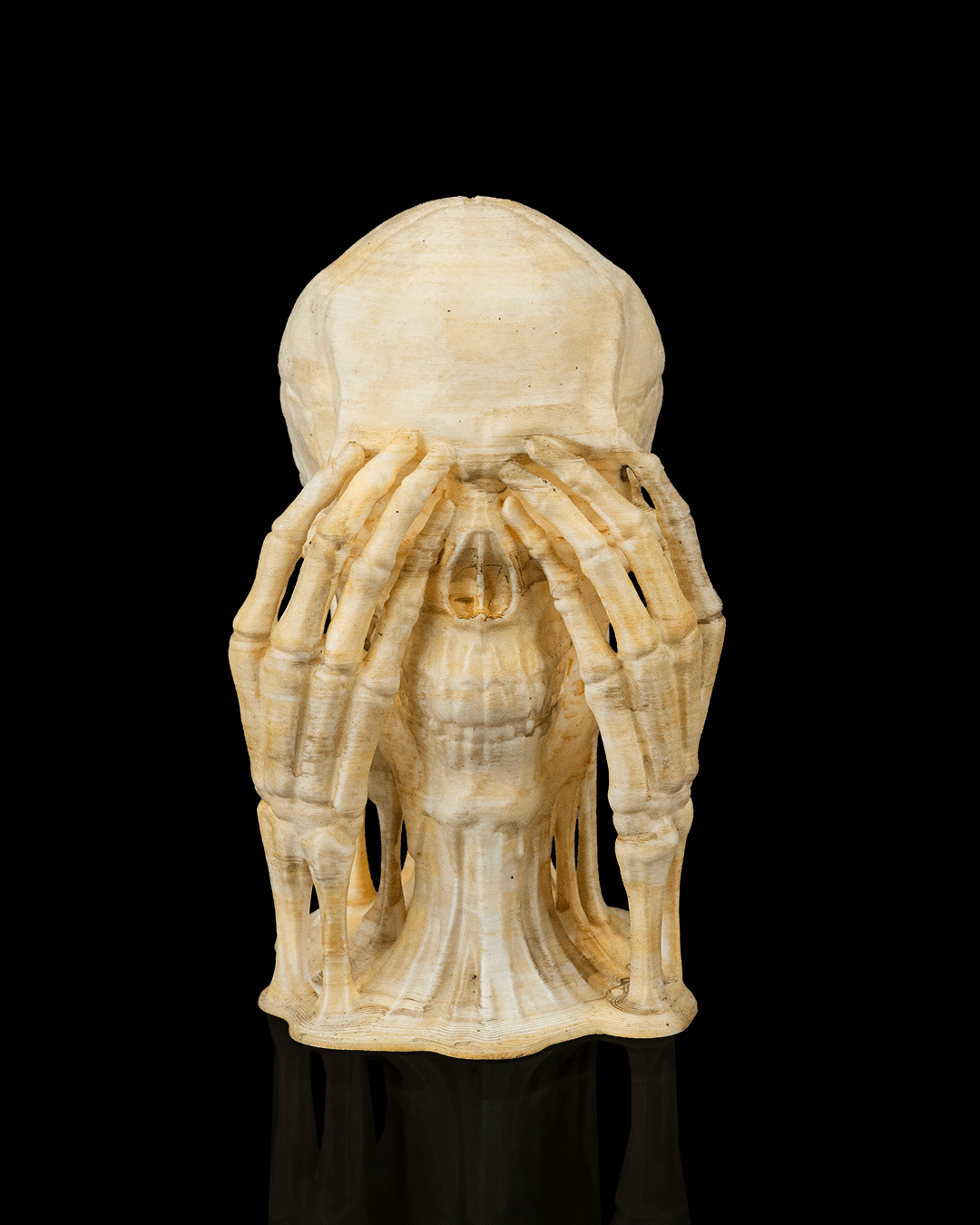 Skulls of Wisdom, foto 3