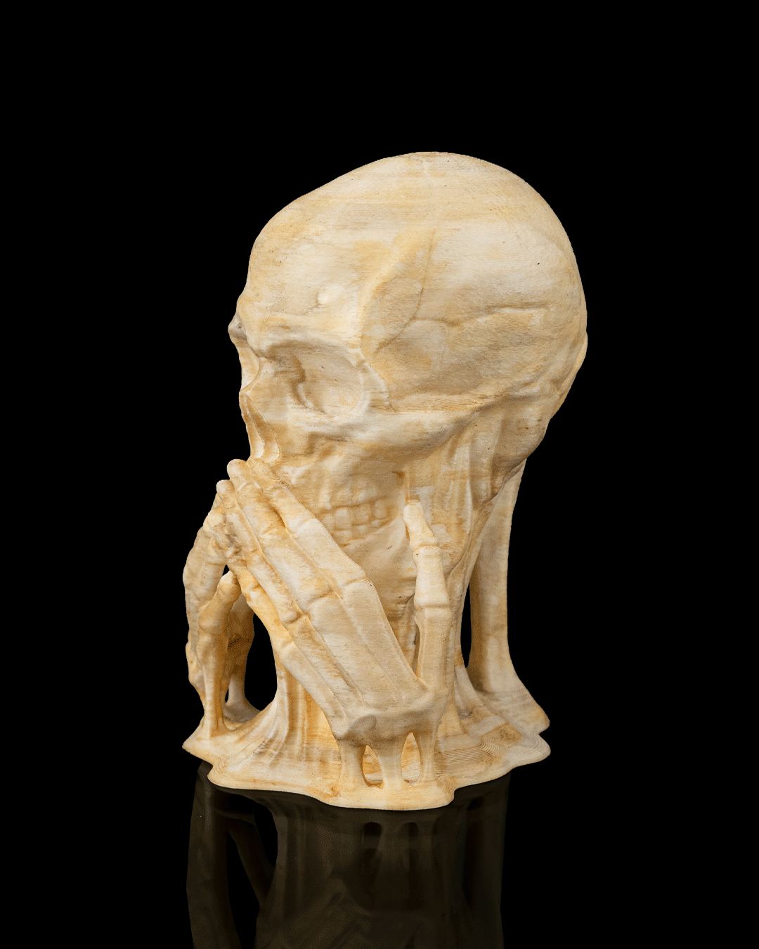 Skulls of Wisdom, foto 5