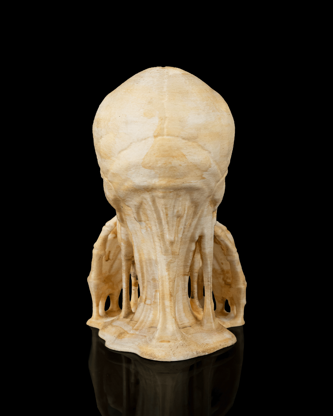 Skulls of Wisdom, foto 6