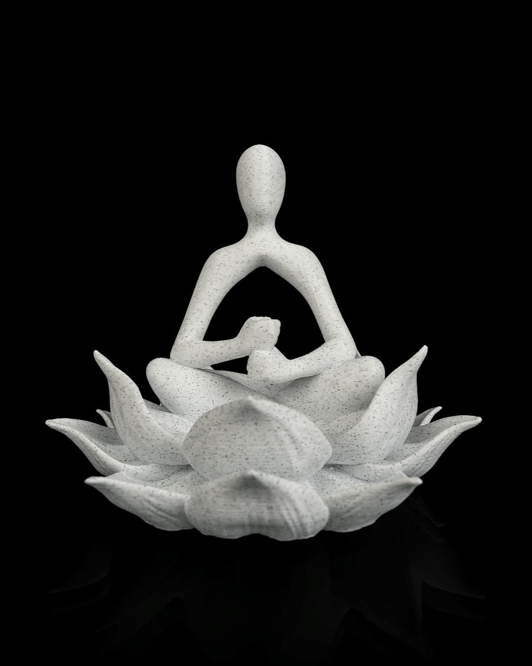 Lotus Keeper — Maceta, foto 6