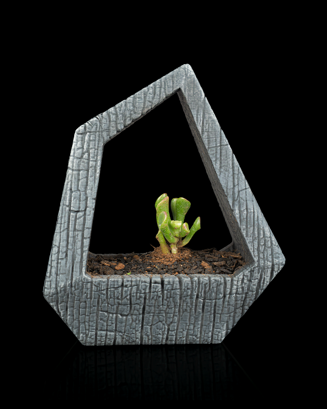 Obsidian Frame — Maceta con Autorriego — Maceta con autorriego