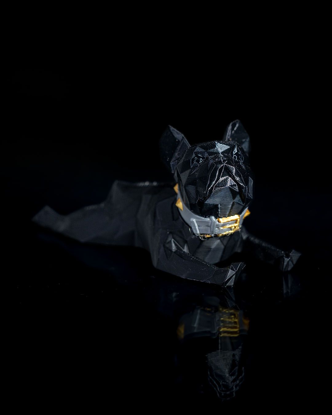 Dennis, el Bulldog Francés, foto 2