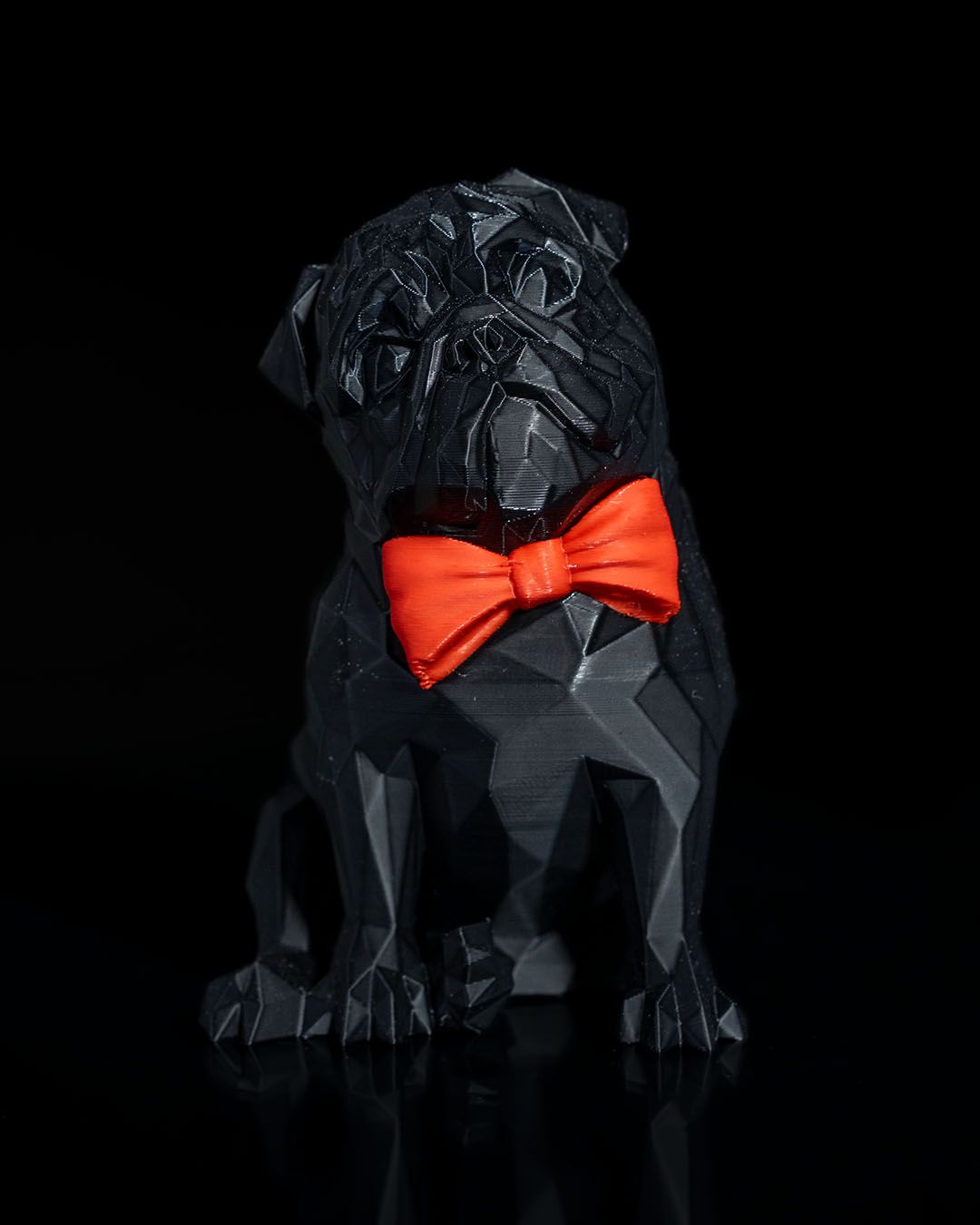 Frank, el Pug, foto 3