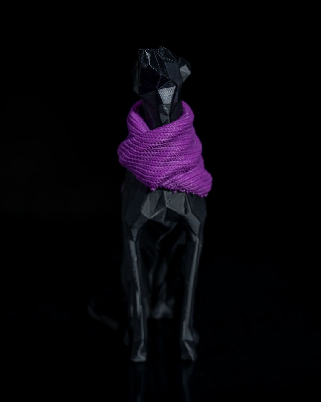 Milly, la Whippet, foto 2