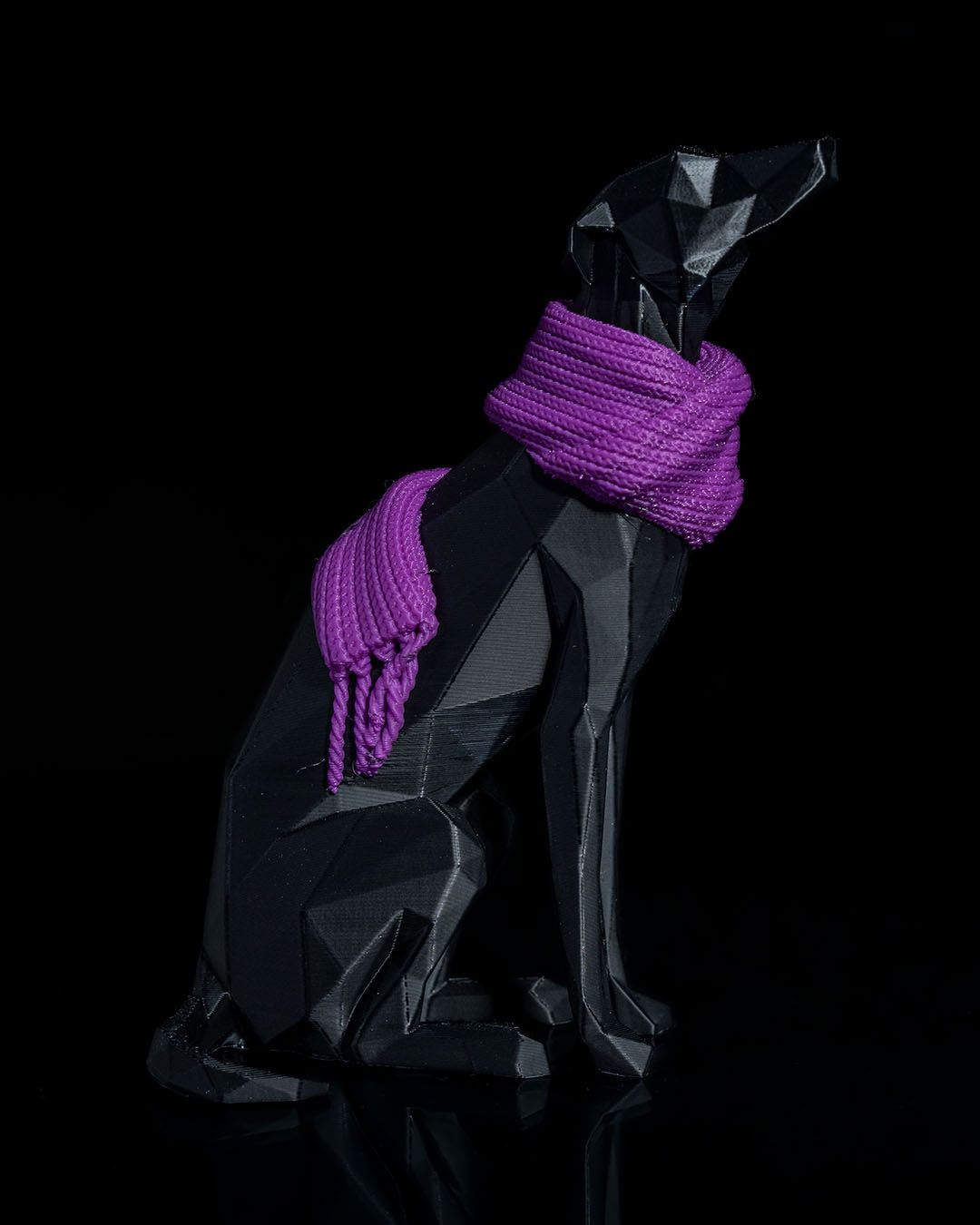 Milly, la Whippet, foto 3