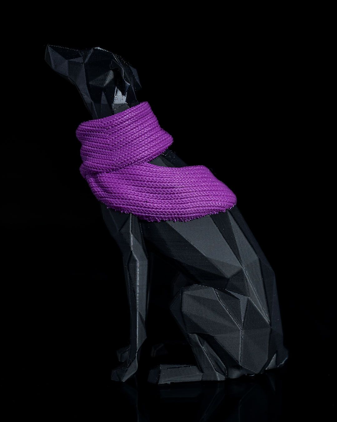 Milly, la Whippet, foto 4