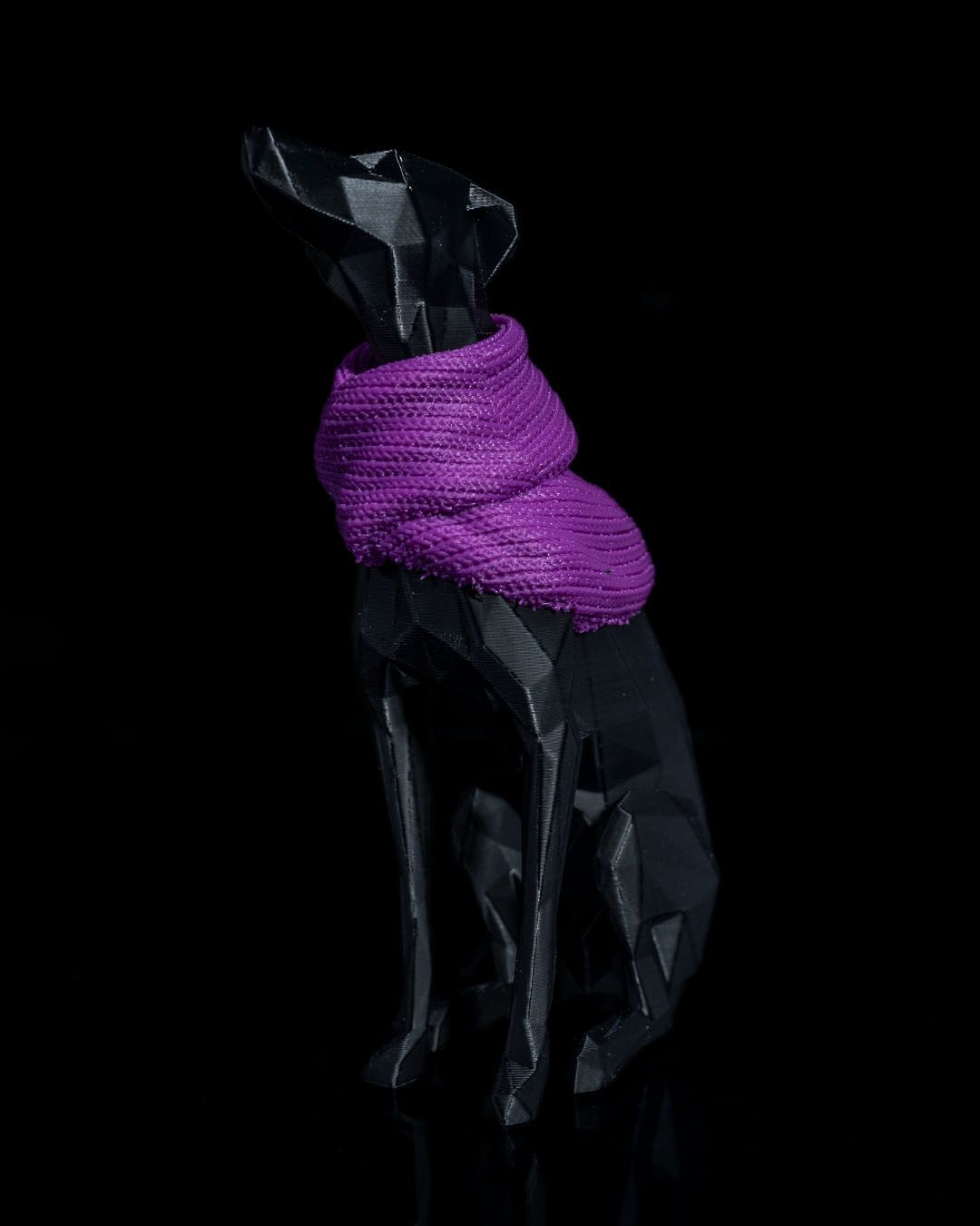 Milly, la Whippet, foto 6